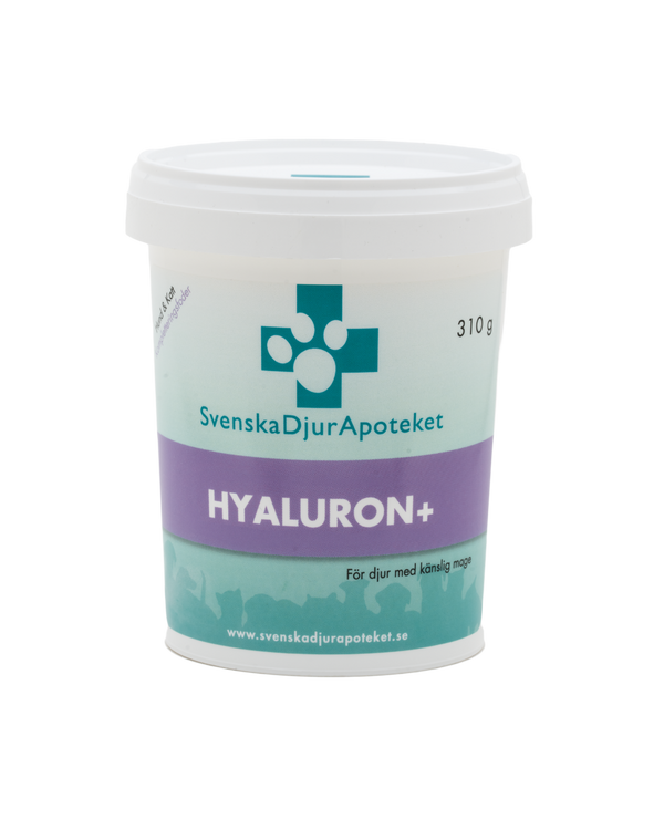 Hyaluron+ 310g