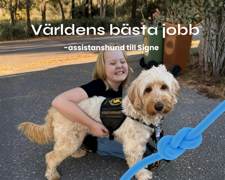 Del 2: Luna, hunden som förändrade allt