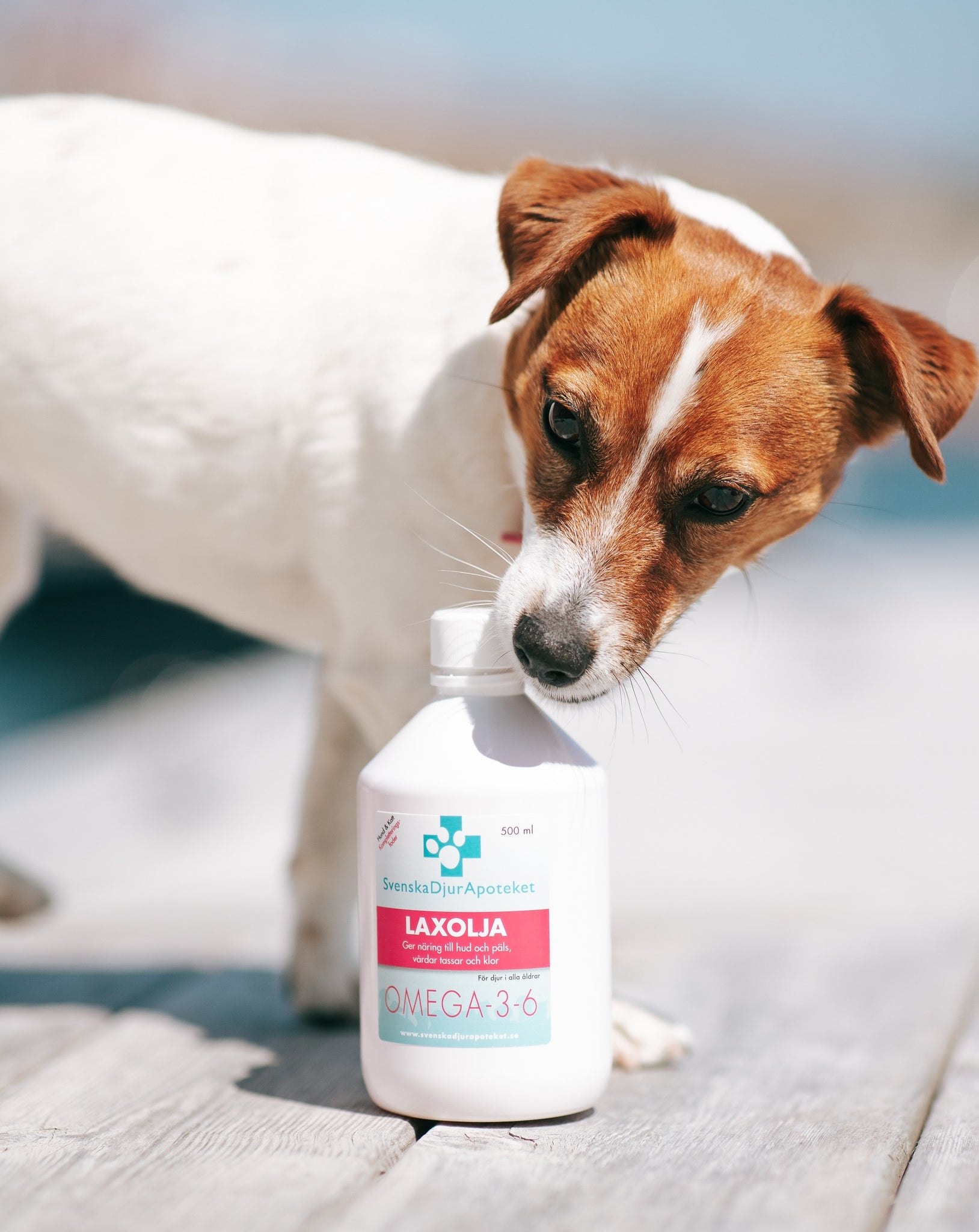 Laxolja bibehåller hundensoch kattens hjärt-och kärlhälsa samt ledernas funktion. Bibehåller tjock och glansig päls, starka trampdynor och klor.