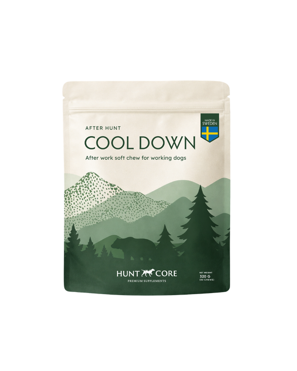 Hunt Core Cool Down