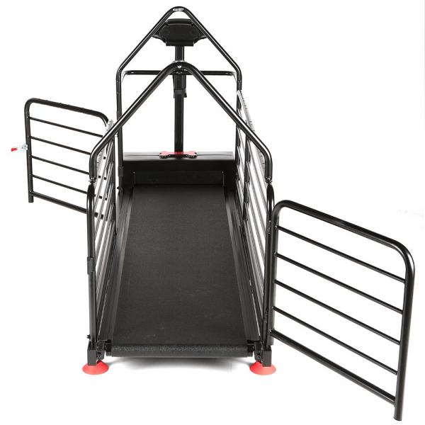 Dog Runner Ortho Pro 2020 - Svenska DjurApoteket