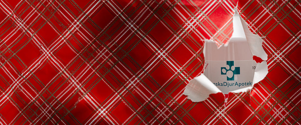 Du missar väl inte julklapp till hunden?