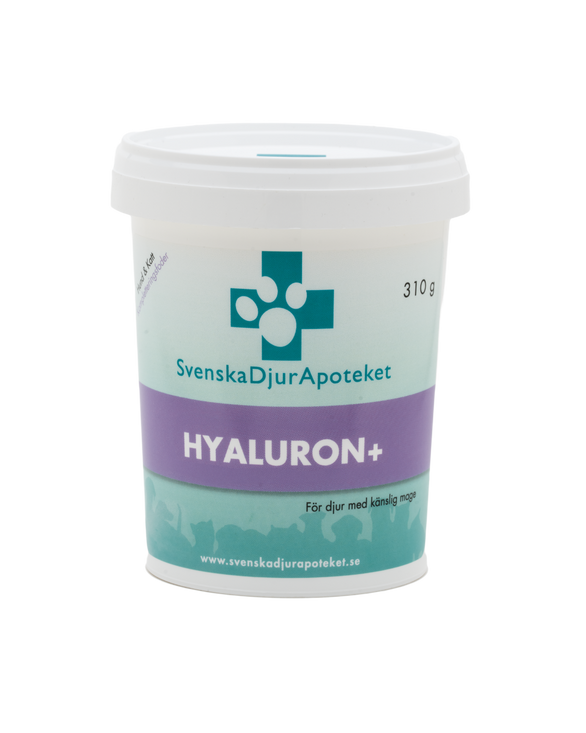 Hyaluron+ 310g