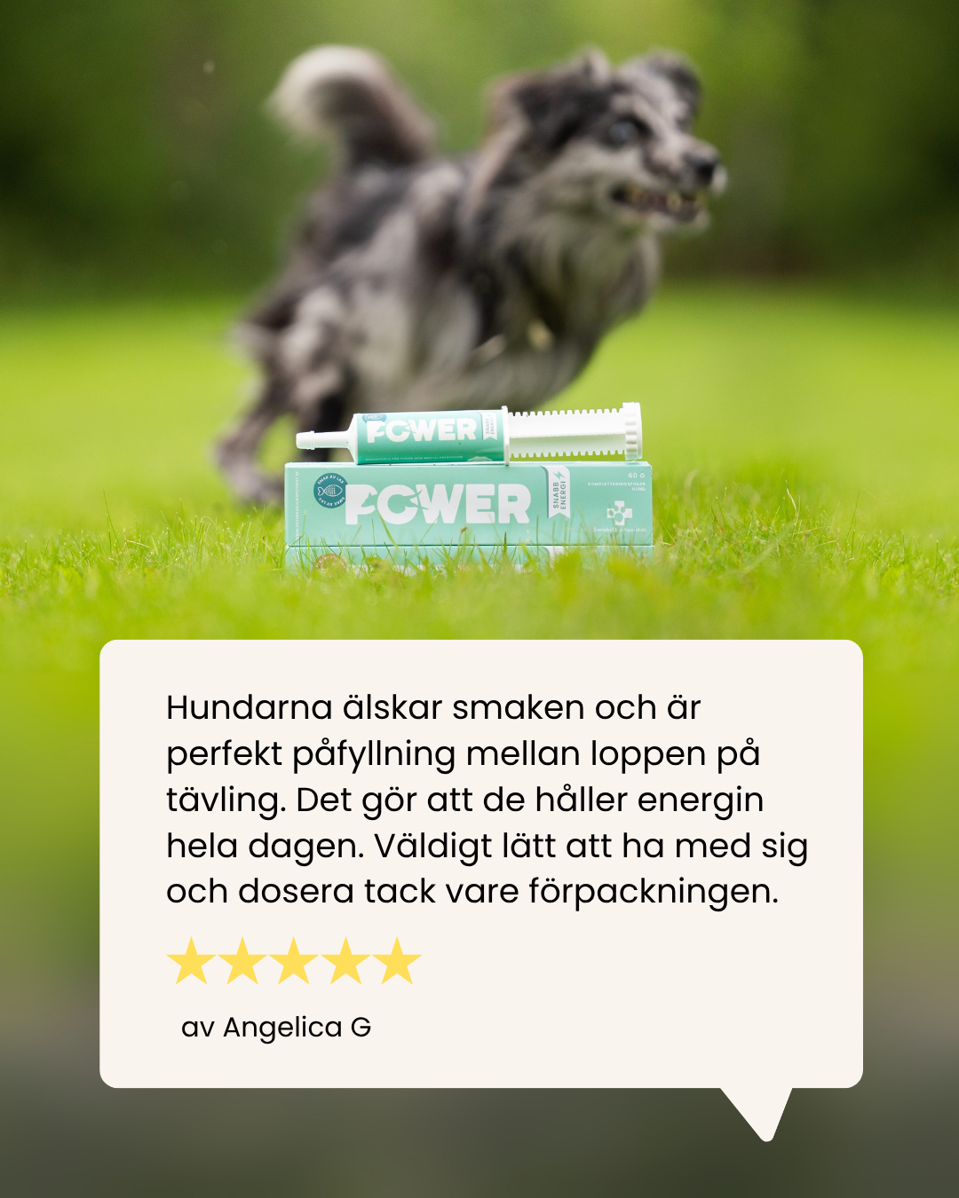 Power Energy 60g