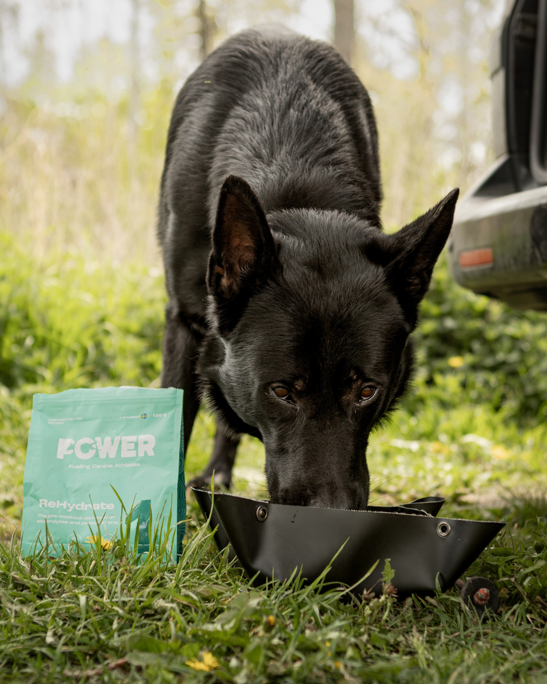 Power ReHydrate 500g