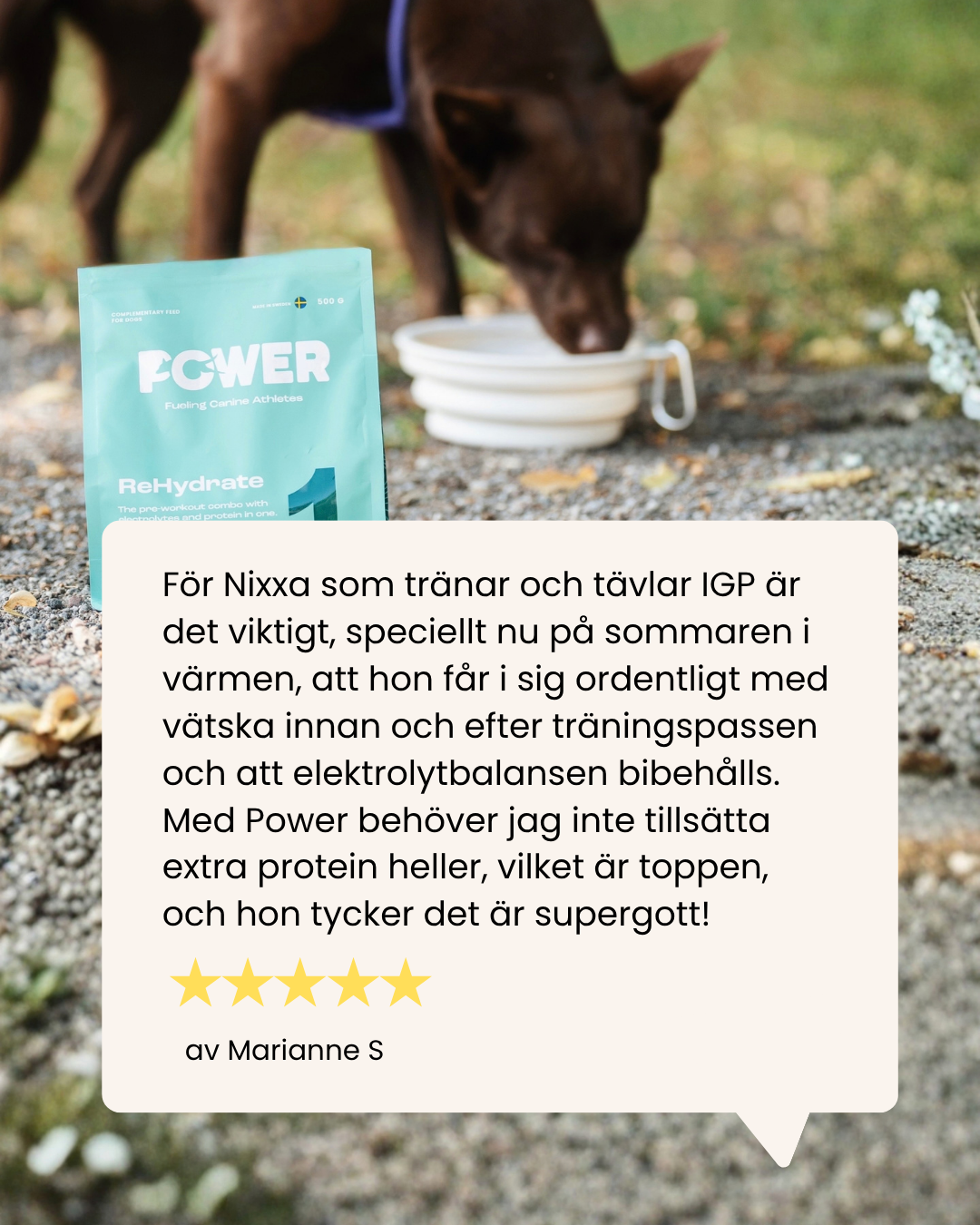 Power ReHydrate 500g
