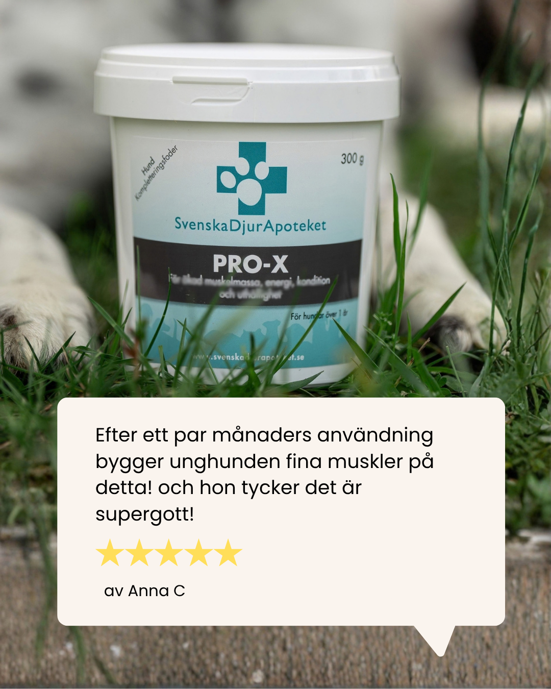 Pro-X 300/900g