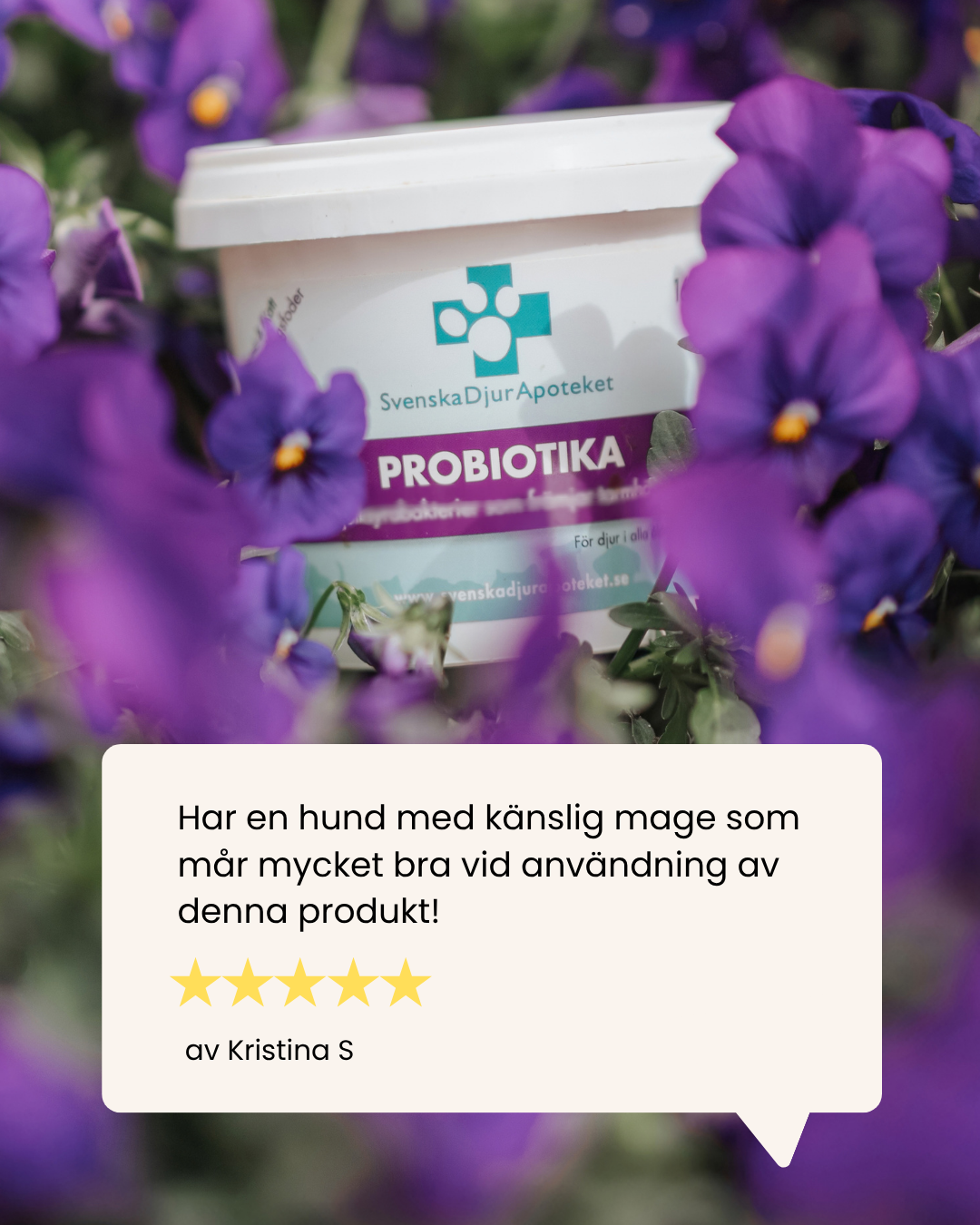 Probiotika 40/160g