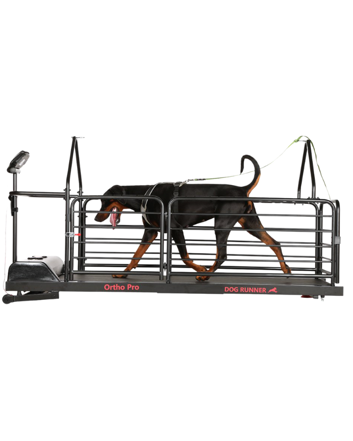 Dog Runner Ortho Pro 2020 - Svenska DjurApoteket