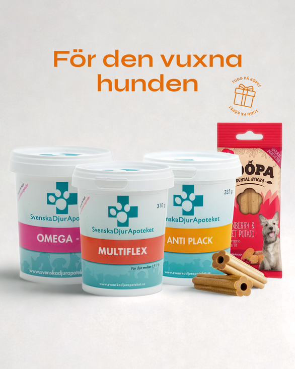 Paket Vuxen