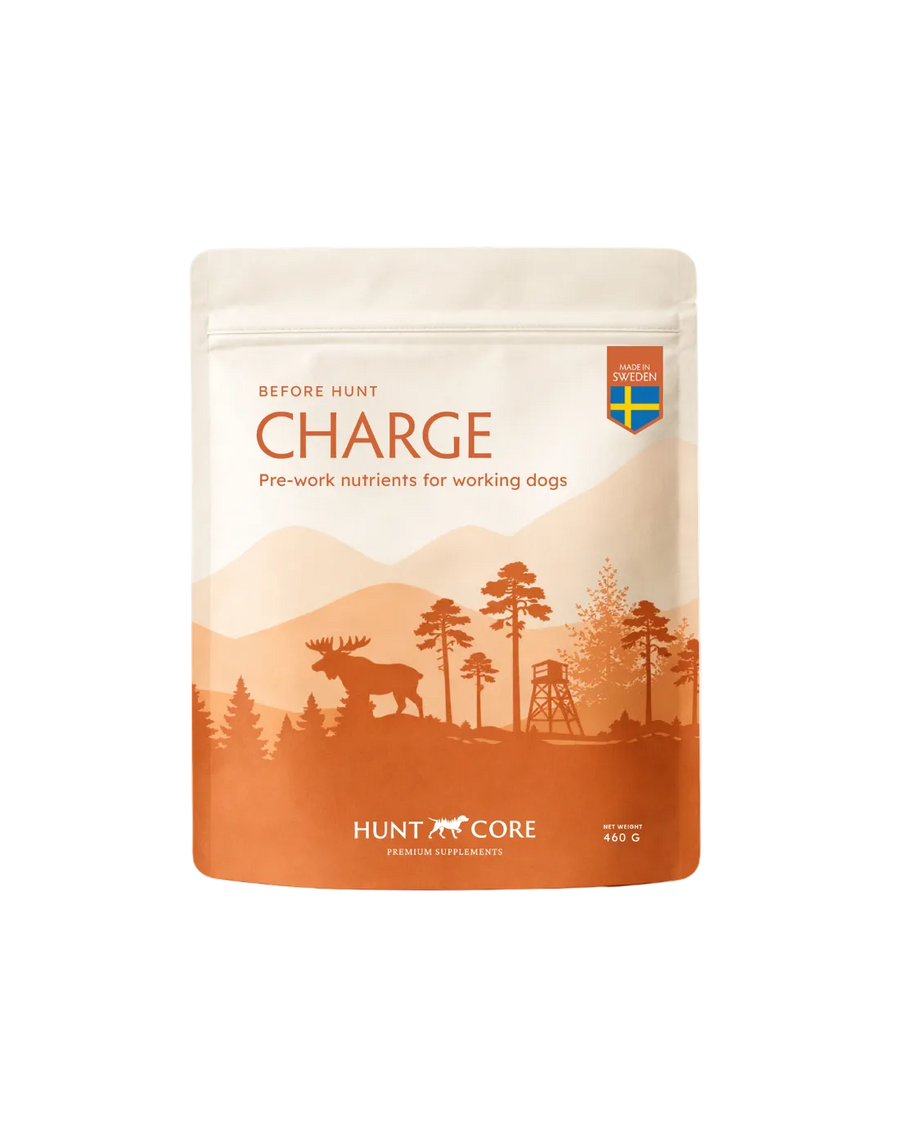 Charge