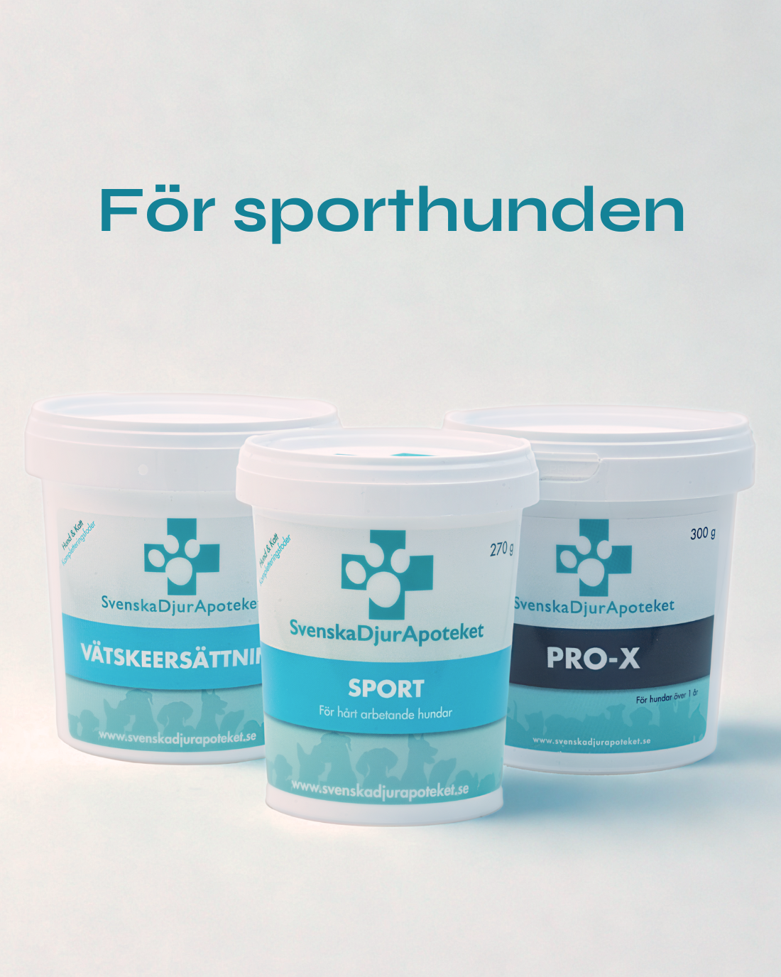 Paket för Sporthunden