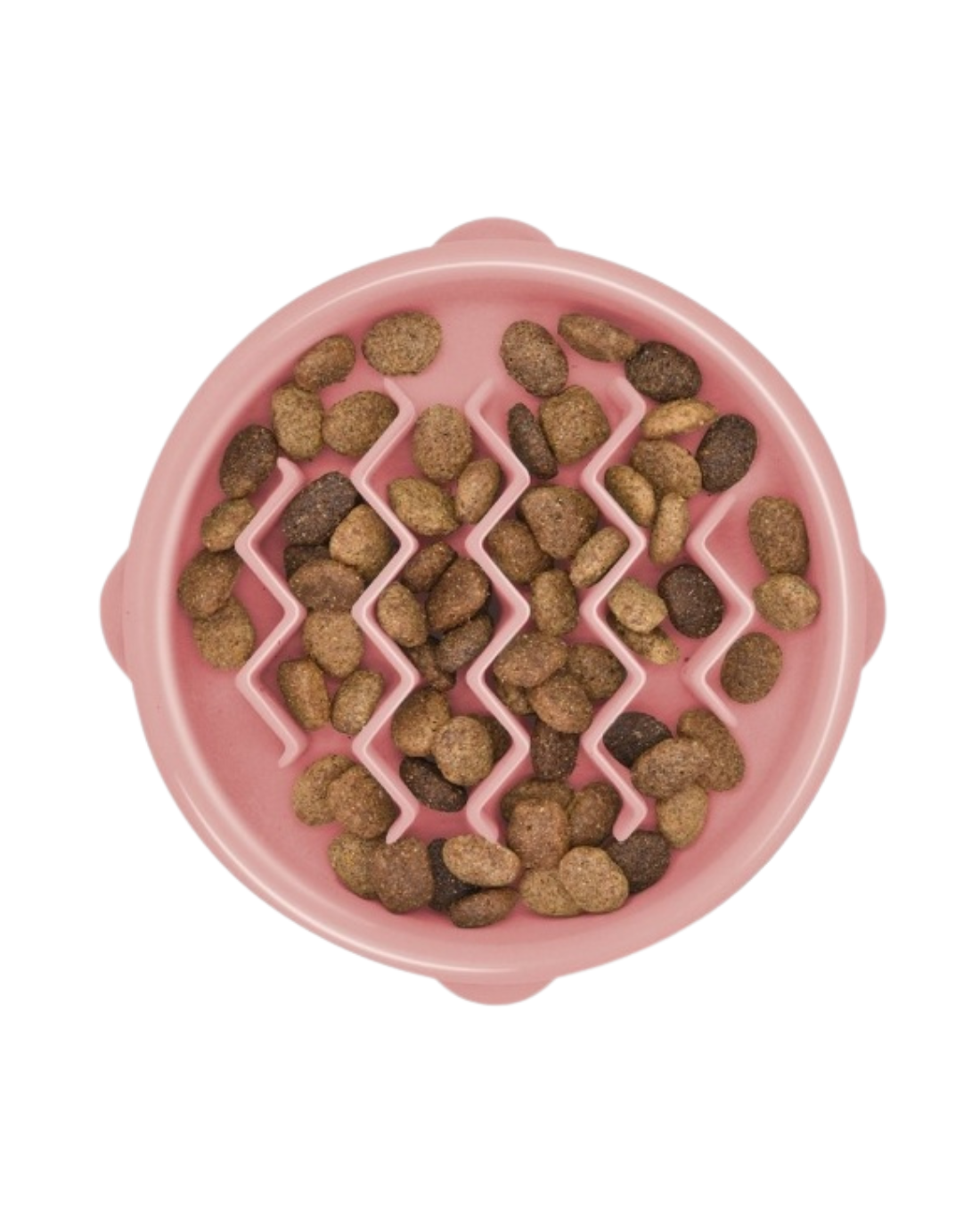 Fun Feeder Slow Bowl XS