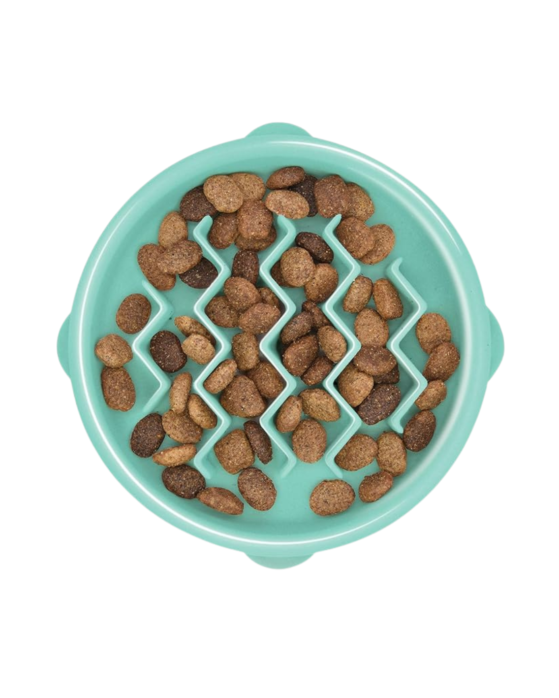 Fun Feeder Slow Bowl XS
