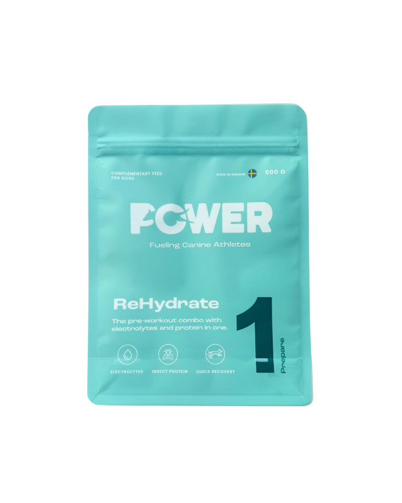 Power ReHydrate 500g