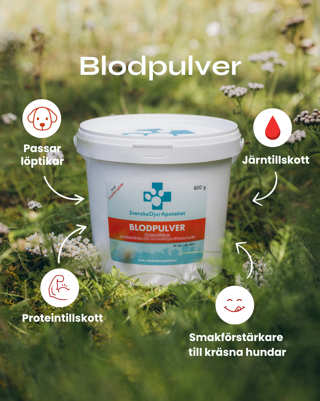 Blodpulver 800g