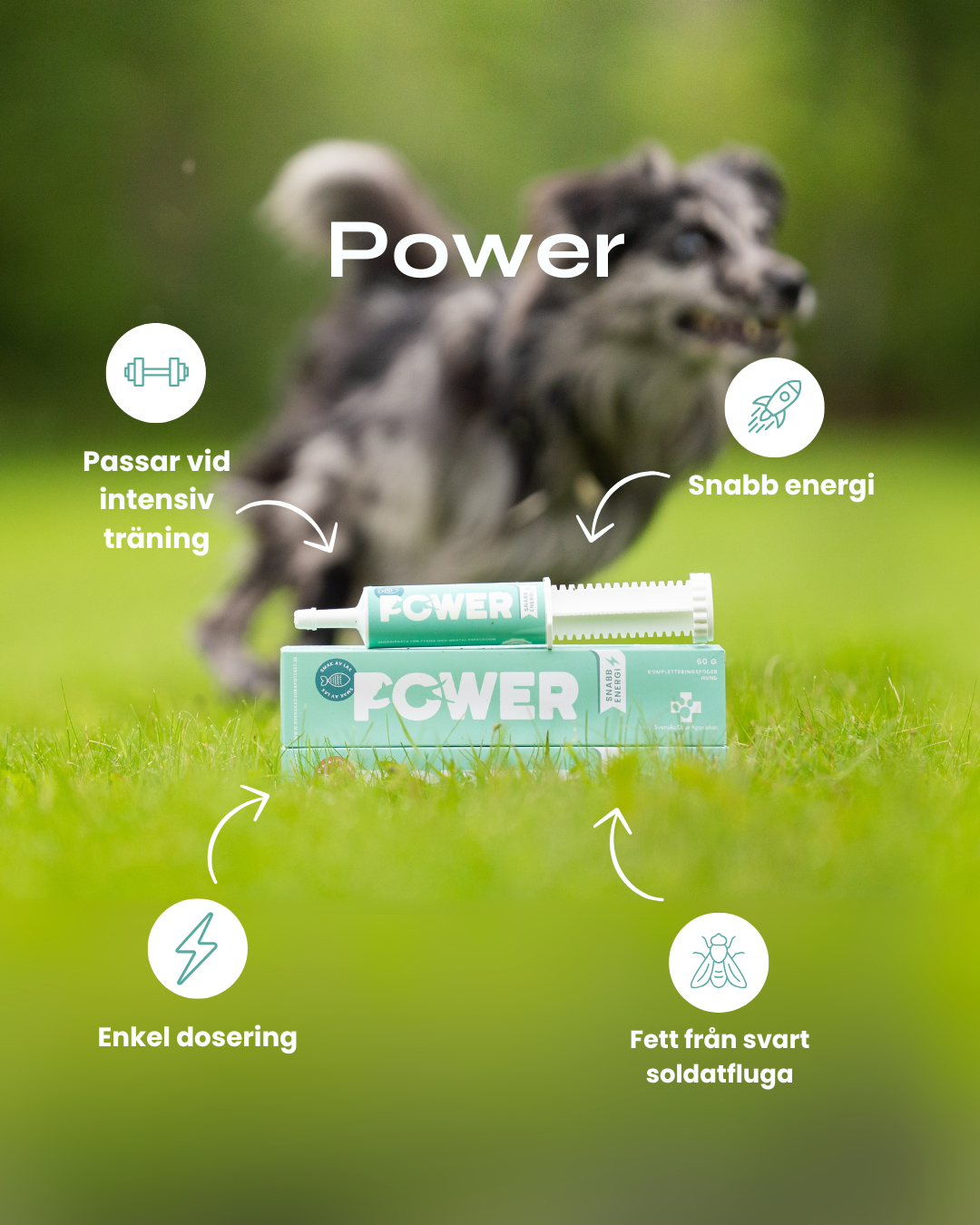 Power Energy 60g